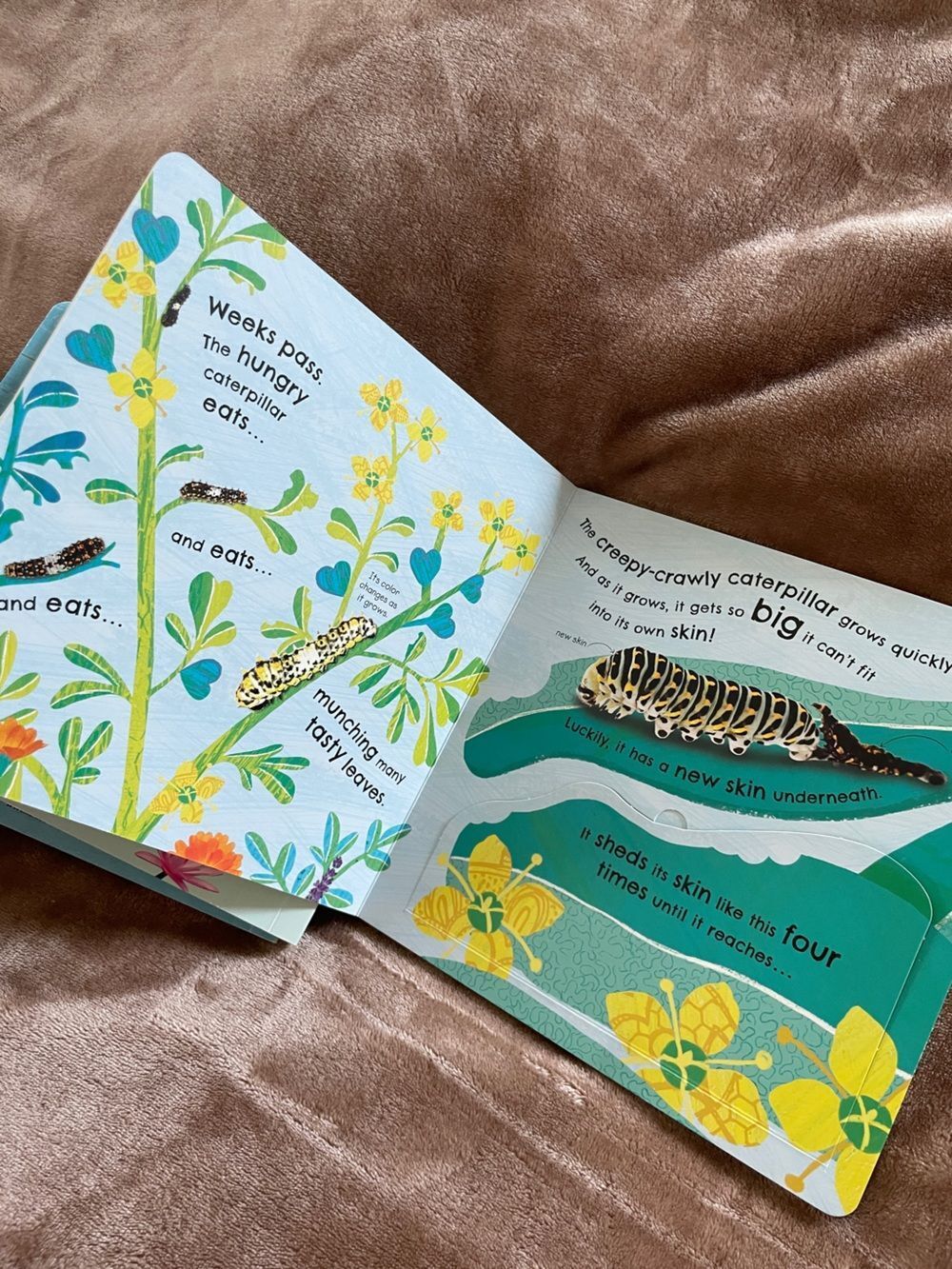DK Kids Books Watch Me Grow Collection Nature Exploration Lifecycle Early Reader - Picture 9 of 13